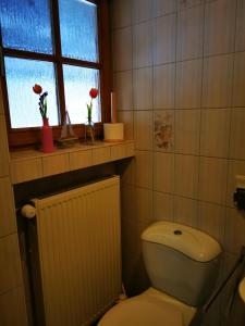 a bathroom with a toilet and a window at Heidi's Home in Garmisch-Partenkirchen