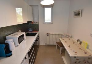 コンスタンツァにあるCentral Park Apartmentの電子レンジが置かれたカウンターのあるキッチン