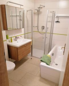 a bathroom with a shower and a sink and a toilet at Apartments Haus Morgensonne in Reidling