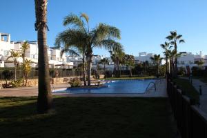 - une piscine bordée de palmiers et de bâtiments dans l'établissement Casa Calida 2 Jardin 11, à Alhama de Murcia