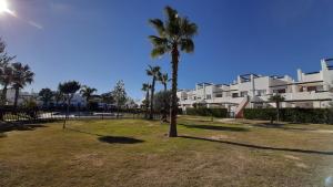 un palmier dans un parc en face de certains bâtiments dans l'établissement Casa Calida 2 Jardin 11, à Alhama de Murcia