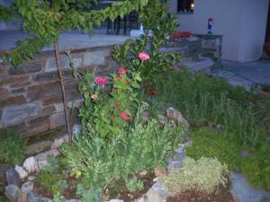 a garden with pink flowers and green plants at Filyra in Pilion