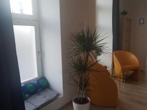 a living room with two potted plants and a window at Freinest Wien in Vienna