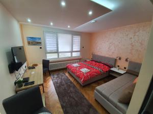 TV a/nebo společenská místnost v ubytování Apartman DoDoLu