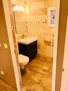 a bathroom with a toilet and a sink at Le petit nid de chessy in Chessy +12 photos