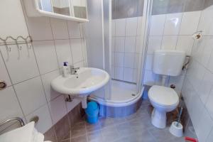 La salle de bains est pourvue d'un lavabo, de toilettes et d'une douche. dans l'établissement Apartments Rosa, à Mali Lošinj