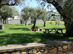 - une table de pique-nique dans un parc planté d'arbres et d'herbe dans l'établissement Casa D'Avó Mila, à Góis