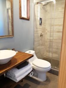 La salle de bains est pourvue de toilettes, d'un lavabo et d'une douche. dans l'établissement SaldeMar Playa Hermosa, à Pichilemu