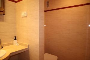 ein Badezimmer mit Toilette, Waschbecken und Dusche in der Unterkunft Penthouse Luxury Faro Casasol in Torrox Costa