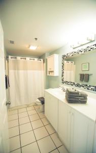 a bathroom with a shower and a sink and a toilet at Water Street Retreat 08 in Wilmington