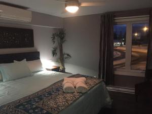 Afbeelding uit fotogalerij van Gîte Zazen in Mont-Laurier