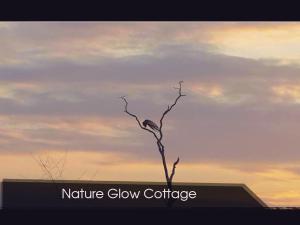 Fotografie z fotogalerie ubytování Nature Glow Cottage v Udawalawe