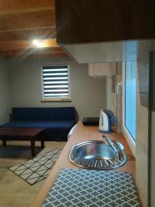 eine Küche mit Spüle in einem winzigen Haus in der Unterkunft Domek Bobrowe Zacisze w Górach Sokolich in Karpacz
