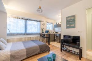 Μια τηλεόραση ή/και κέντρο ψυχαγωγίας στο Cosy Studio 110 - Chambéry centre - Stationnement - Gare