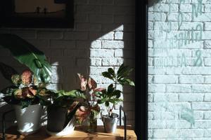 three potted plants sitting on a table next to a brick wall at Hotel Pacific Kanazawa in Kanazawa