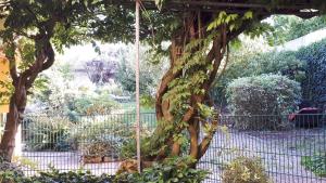 Afbeelding uit fotogalerij van Ferienhaus Lenz in Pünderich