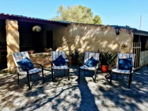 grupa 3 krzeseł z niebieskimi poduszkami na patio w obiekcie Ca na Brila w mieście Campos