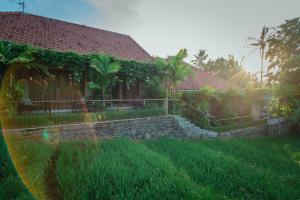 Zahrada ubytování Pangkung Sari Bed and Breakfast
