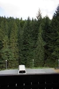 een witte vrachtwagen geparkeerd op een weg voor de bomen bij Gronik in Szczyrk