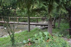 Příroda nedaleko prázdninového domu