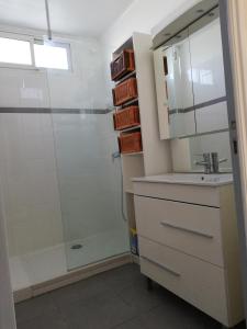 ein Bad mit einer Dusche und einem Waschbecken in der Unterkunft REZ DE VILLA SIX-FOURS in Six-Fours-les-Plages
