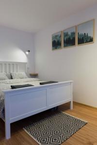 a white bedroom with a large white bed and a rug at Apartament Szyszka in Ustrzyki Dolne