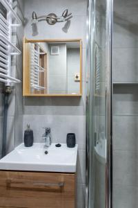a bathroom with a sink and a mirror and a shower at Apartament Szyszka in Ustrzyki Dolne