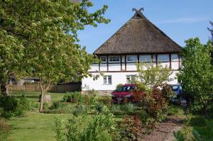 Gallery image of Gemütliche Ferienwohnung unterm Reetdach in Boiensdorf