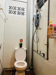 a bathroom with a toilet and a shower at Ammar Homestay in Kuala Terengganu