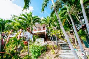 Zahrada ubytování Venus Resort