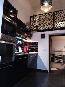 a kitchen with black appliances and a black counter top at DownTown DeLuxe Apartment in Eger