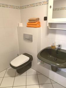 La salle de bains est pourvue de toilettes vertes et d'un lavabo. dans l'établissement Ferienwohnung Blankenstein, à Hattingen