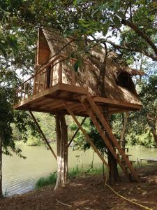 a tree house in a tree next to a body of water at Tad Lo Fandee Island - Bolaven Loop Pakse in Ban Kiangtat