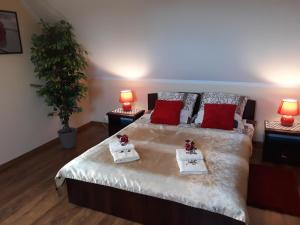 a bedroom with a large bed with red pillows at Agroturystyka Gazdówka in Zakliczyn