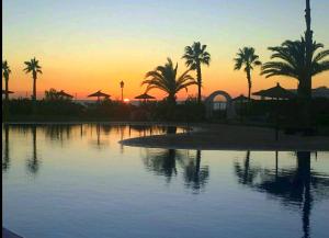 サアラ・デ・ロス・アトゥネスにあるBahía de la Plataの椰子の木が植えられた水上の夕日