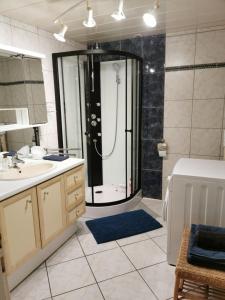 ein Badezimmer mit einer Dusche, einem Waschbecken und einer Badewanne in der Unterkunft AUX DEUX CIGOGNES AMMERSCHWIHR in Ammerschwihr