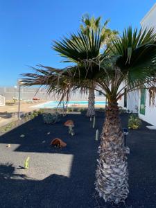 Las Mimosas, Puerto del Carmen – Precios actualizados 2023