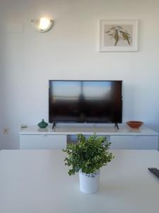 TV a/nebo společenská místnost v ubytování Apartamento en edificio Stella Maris
