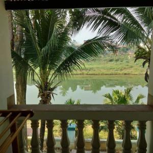 uma vista para um rio a partir de uma varanda com uma palmeira em Wangtong Resort 2 em Ban Huai Salok