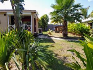 een huis met een palmboom in de tuin bij Villa & Bungalow Fleur de Coco in Sainte-Anne