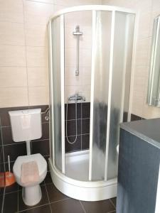 een badkamer met een douche, een toilet en een wastafel bij Guesthouse Sava in Slavonski Brod