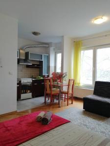 sala de estar con sofá, mesa y cocina en Guesthouse Sava, en Slavonski Brod