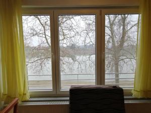 een raam met uitzicht op een met sneeuw bedekte boom bij Guesthouse Sava in Slavonski Brod