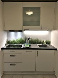 Kuchyňa alebo kuchynka v ubytovaní Schans Appartements