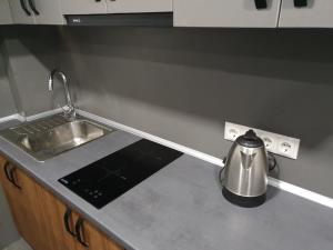 un bancone della cucina con lavandino e bollitore per il tè di Silver Star Apartment a Užhorod