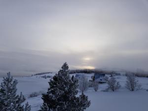 Priroda u blizini vikendice