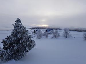 Ormurinn Cottages tokom zime