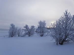 Ormurinn Cottages tokom zime