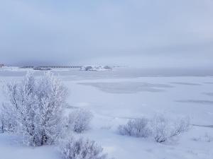 Priroda u blizini vikendice