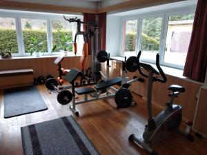 Γυμναστήριο ή/και όργανα γυμναστικής στο Haus Wiesenbaude